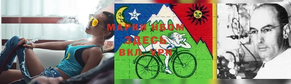 мяу мяу кристалл Няндома