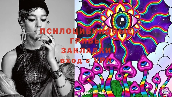 гидропоника Новокубанск