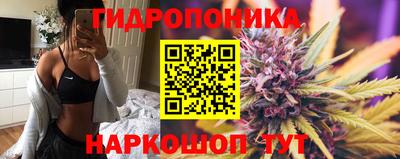 ECSTASY Гусь-Хрустальный