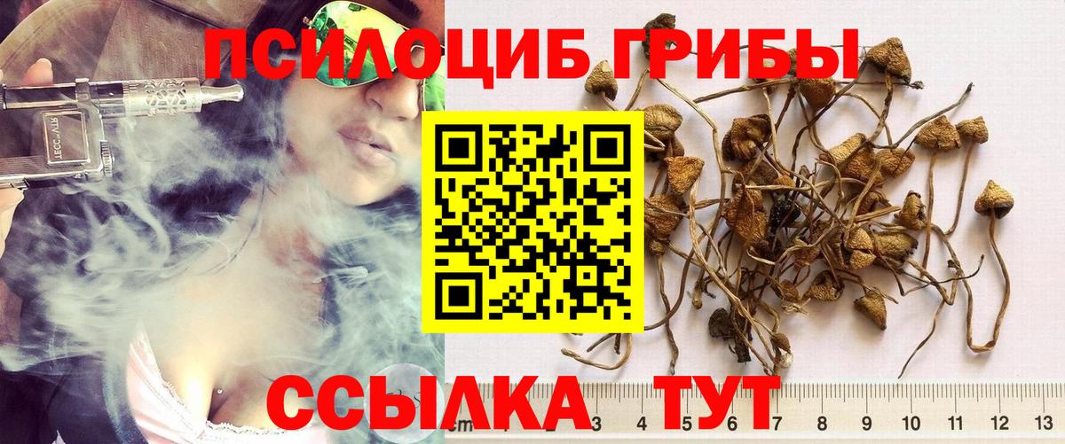 Галлюциногенные грибы Magic Shrooms Ижевск