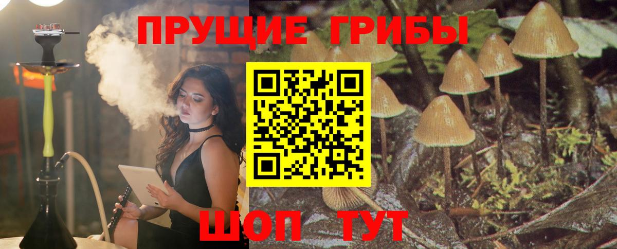 Галлюциногенные грибы мухоморы  Ижевск 